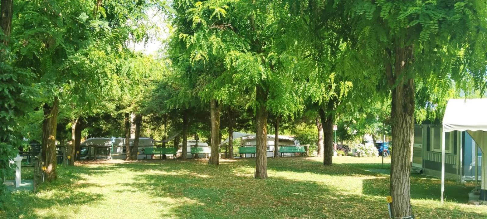 Parco Vacanze Bracchetto Vetta Hotel Carrodano Inferiore Ngoại thất bức ảnh